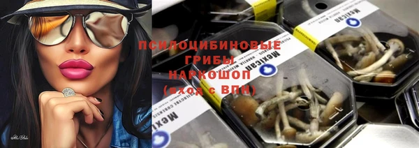 марки nbome Вяземский