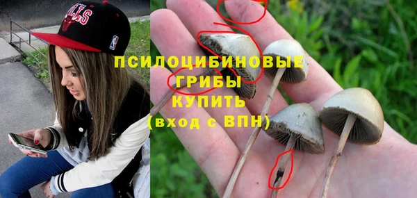 ALPHA PVP Вязники