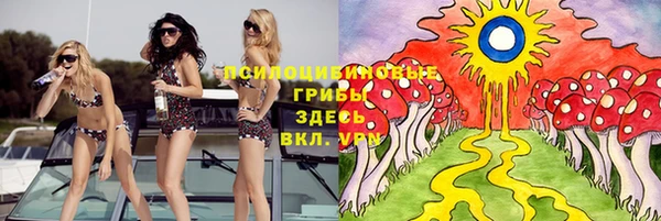 а пвп мука Вязьма
