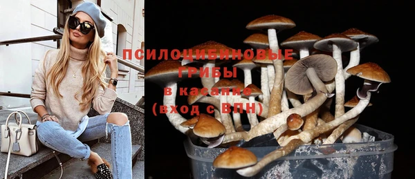 а пвп мука Вязьма