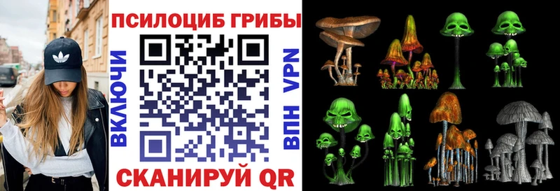 даркнет как зайти  Цоци-Юрт  Галлюциногенные грибы мухоморы  kraken как войти 
